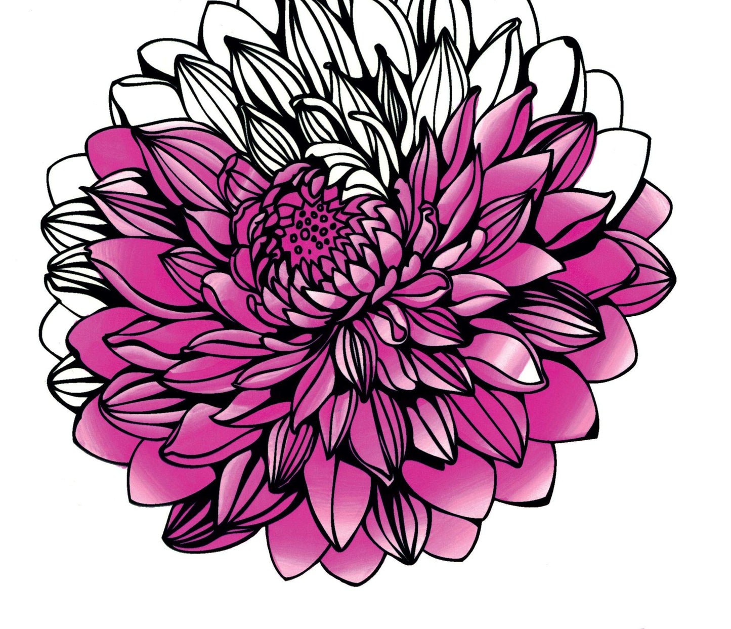 ROTULADORES CHAMELEON DOBLE PUNTA TONOS FLORALES X 5 PZ ECHCT0512