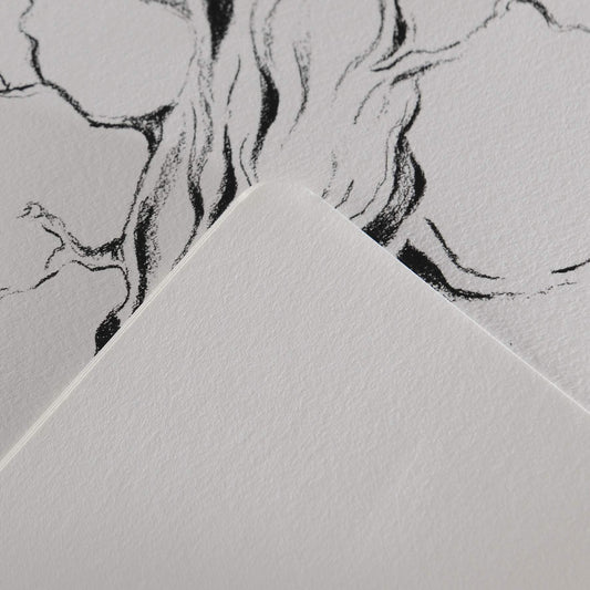 LIBRO DE DIBUJO CANSON INSPIRATION PORTADA MARRON C2PZ 21X29.7CM 96G 36H A4 ECAF006452