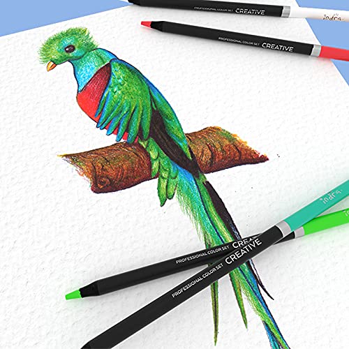 LAPIZ DE COLORES INDRA PROFESIONALES CREATIVE SET 123 IND-0275