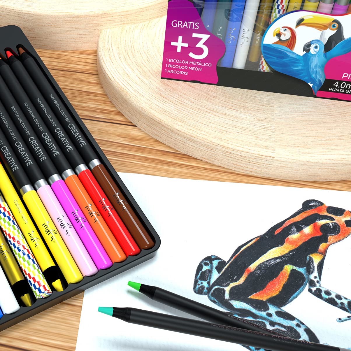 LAPIZ DE COLORES INDRA PROFESIONALES CREATIVE SET 123 IND-0275