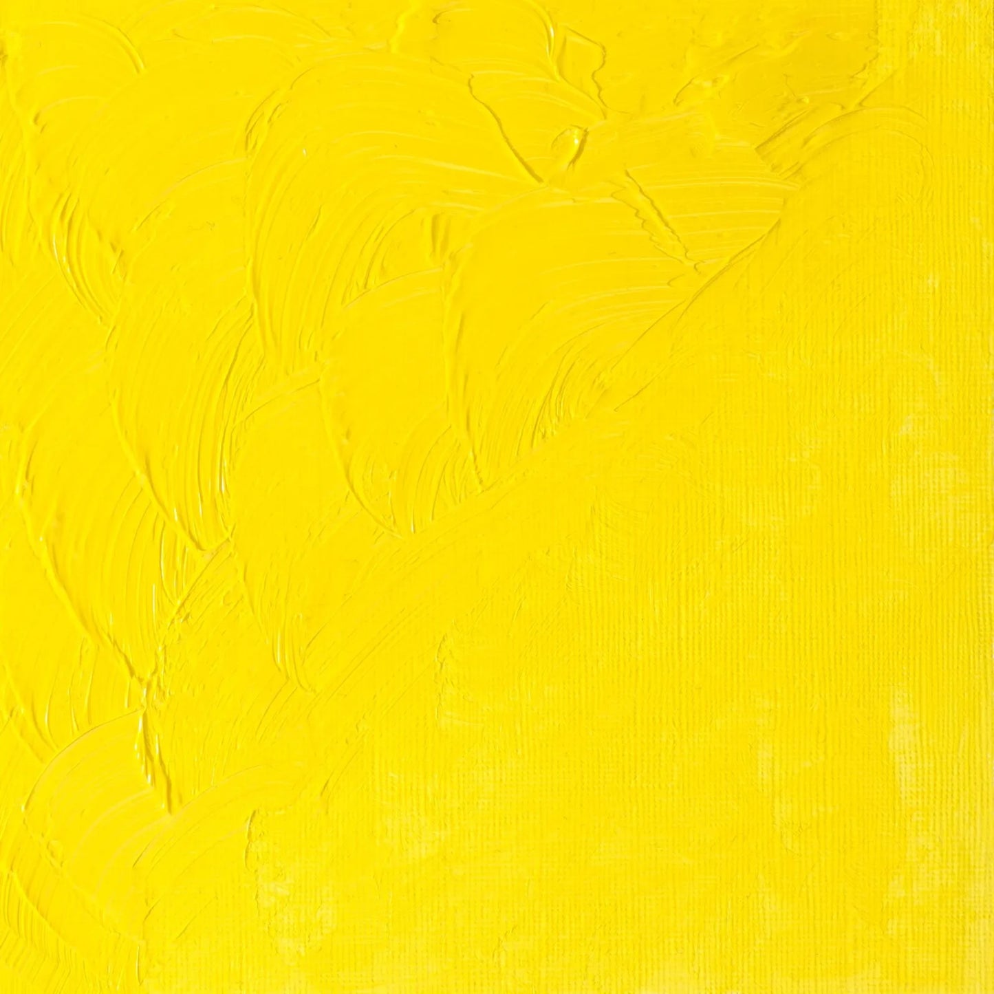 PINTURA AL OLEO W&N WINTON 37ML AMARILLO CADMIO LIMON NO 87 10464