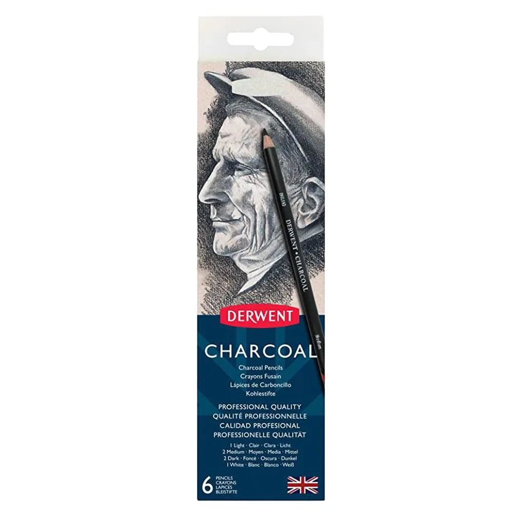 LAPICES DE CARBON DERWENT C6 CAJA MET 21292