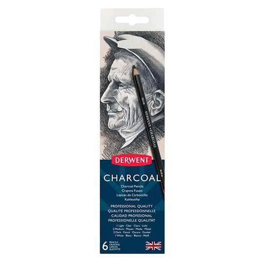 LAPICES DE CARBON DERWENT C6 CAJA MET 21292