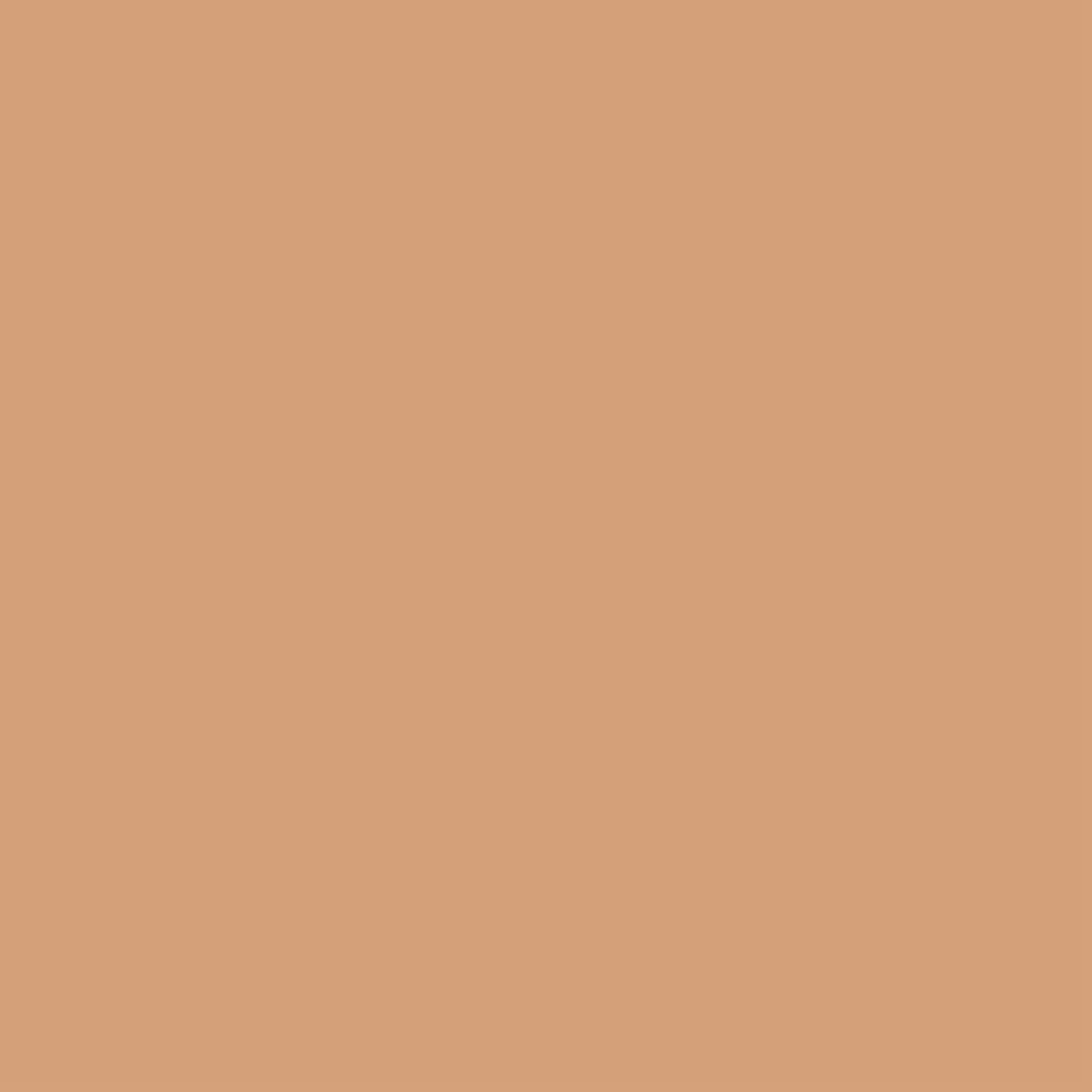 ROTULADOR W&N PROMARKER CINNAMON-O427