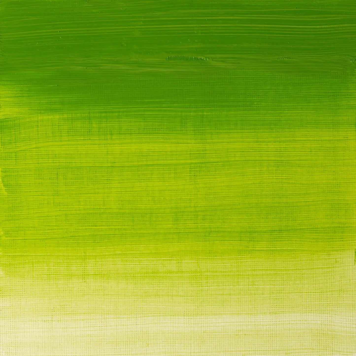 PINTURA AL OLEO W&N WINTON 37ML VERDE CROMO NO 11 10460