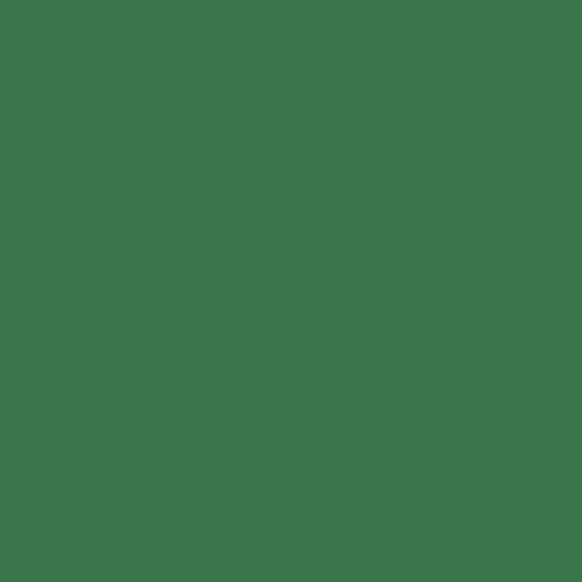 ROTULADOR W&N PROMARKER PINE-G635