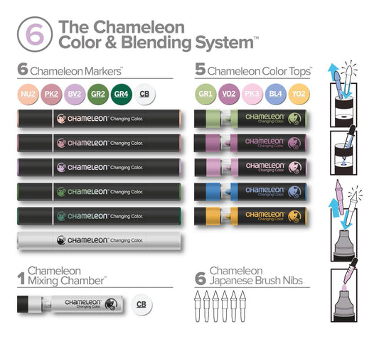 ROTULADORES CHAMELEON DOBLE PUNTA NO.06 ECHCS6606