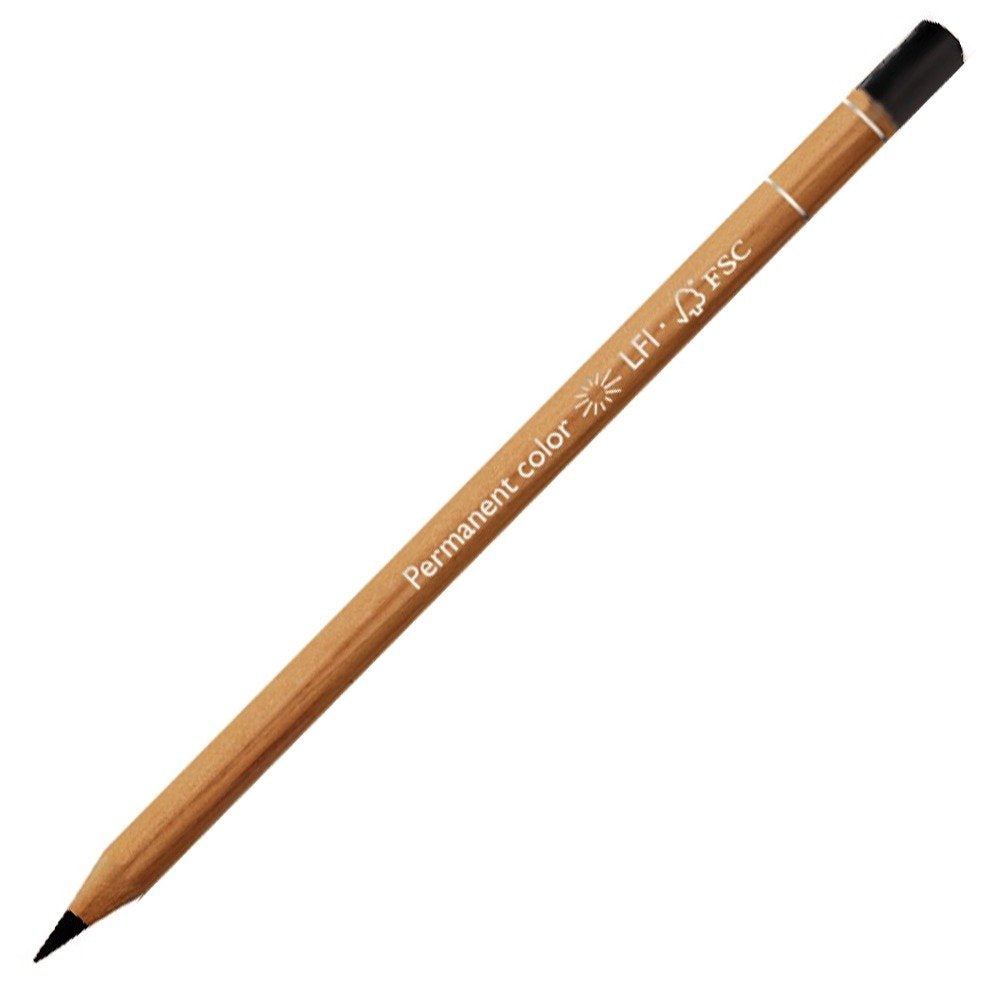 LAPIZ DE COLOR CARAN`D ARCHE LUMINANCE NEGRO 73-6901.009