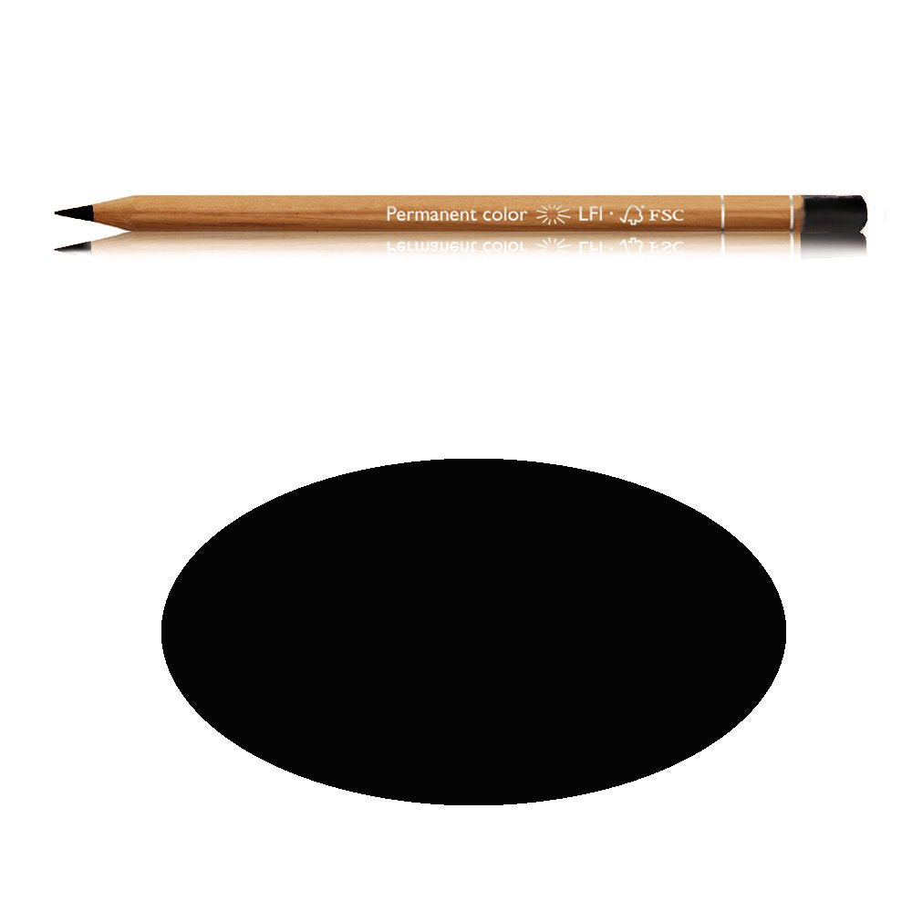 LAPIZ DE COLOR CARAN`D ARCHE LUMINANCE NEGRO 73-6901.009