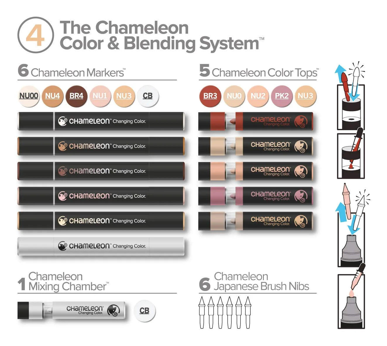 ROTULADORES CHAMELEON DOBLE PUNTA NO.04 ECHCS6604
