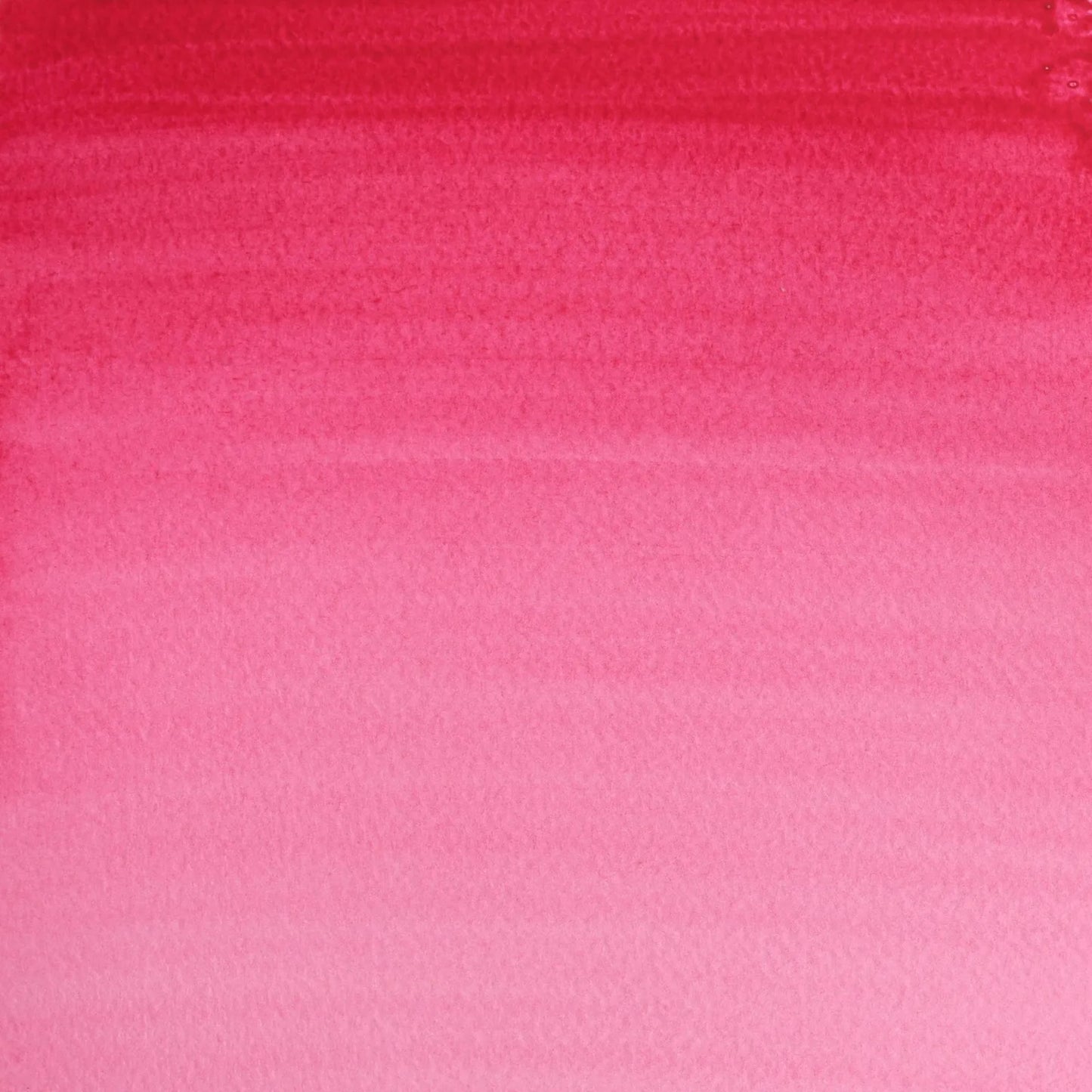 ACUARELA W&N COTMAN 8ML ROSA 502 10414