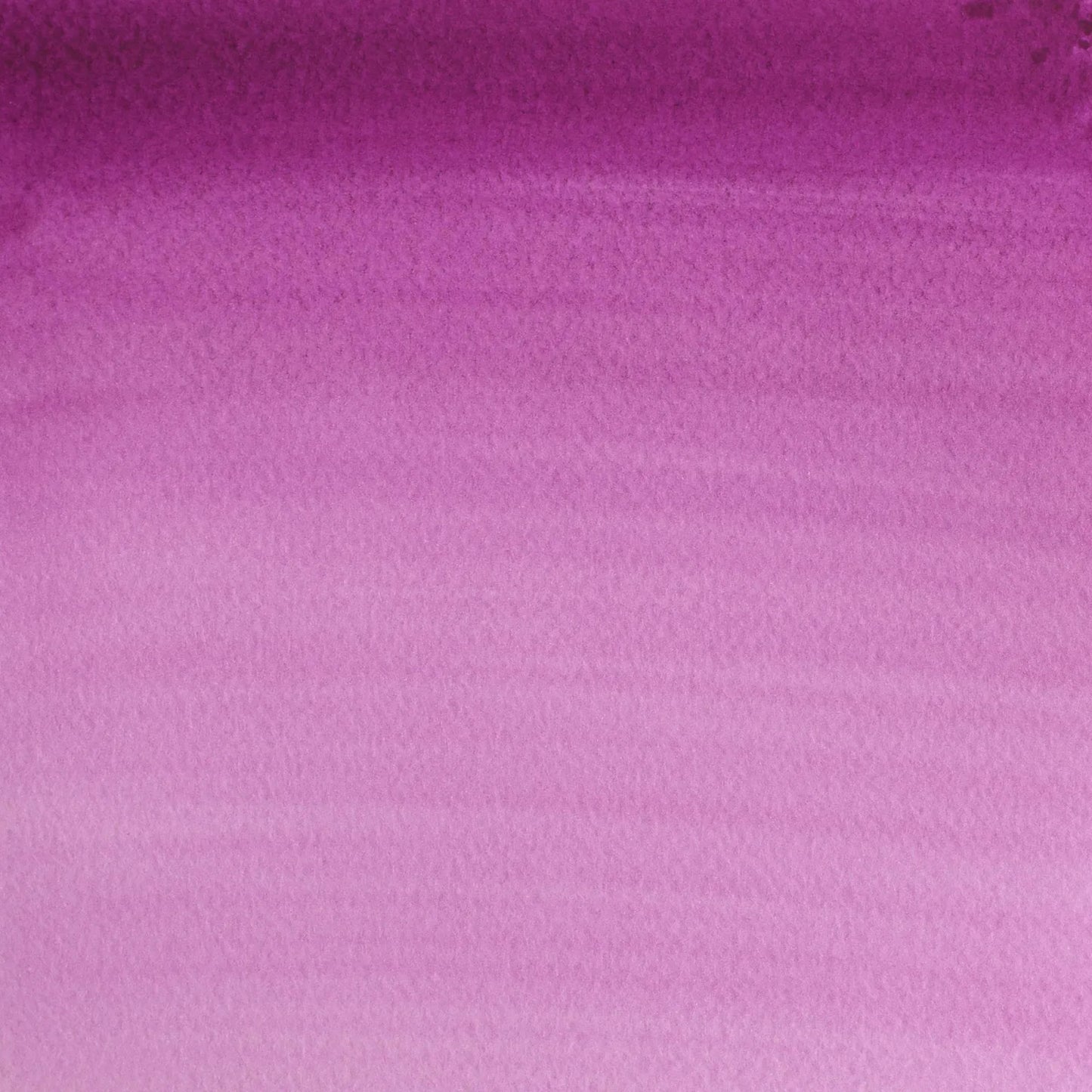 ACUARELA W&N COTMAN 8ML MALVA 398 10412