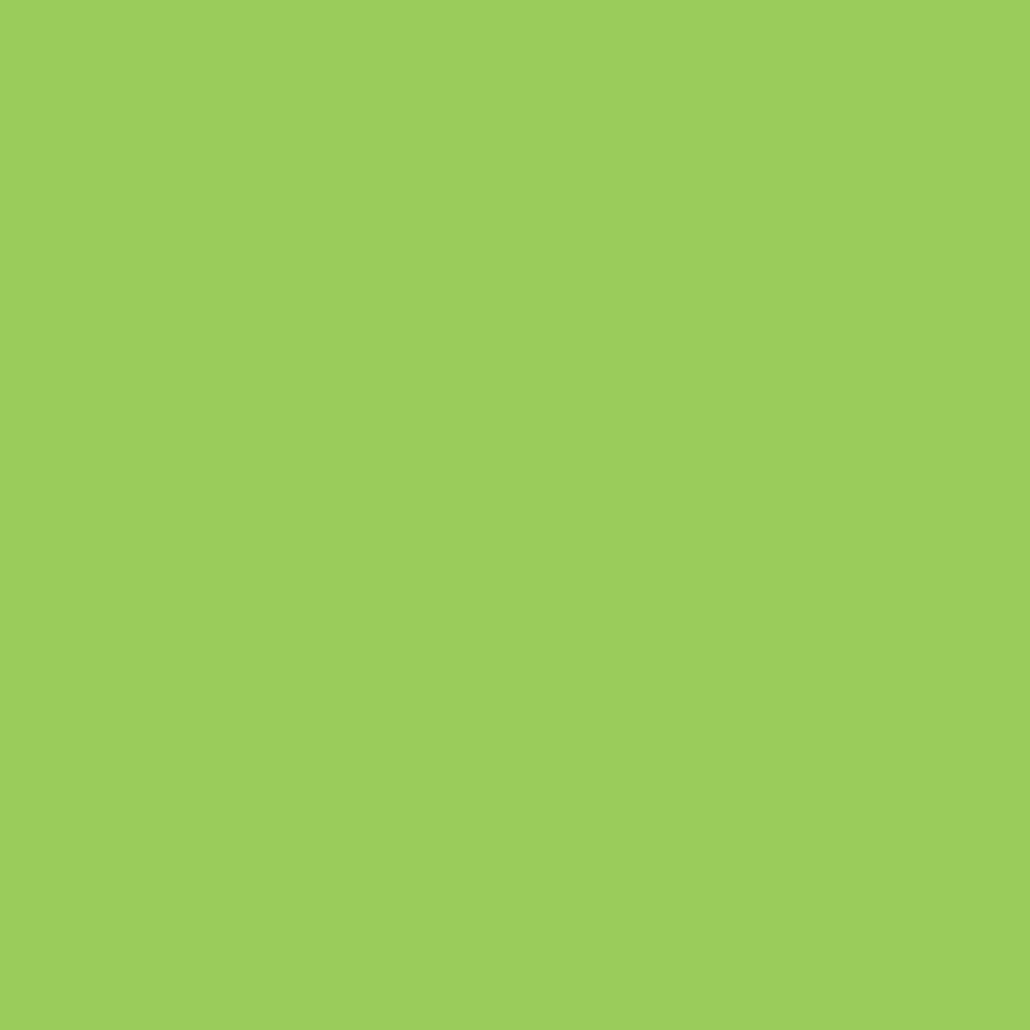 ROTULADOR W&N PROMARKER LEAF GREEN-G258