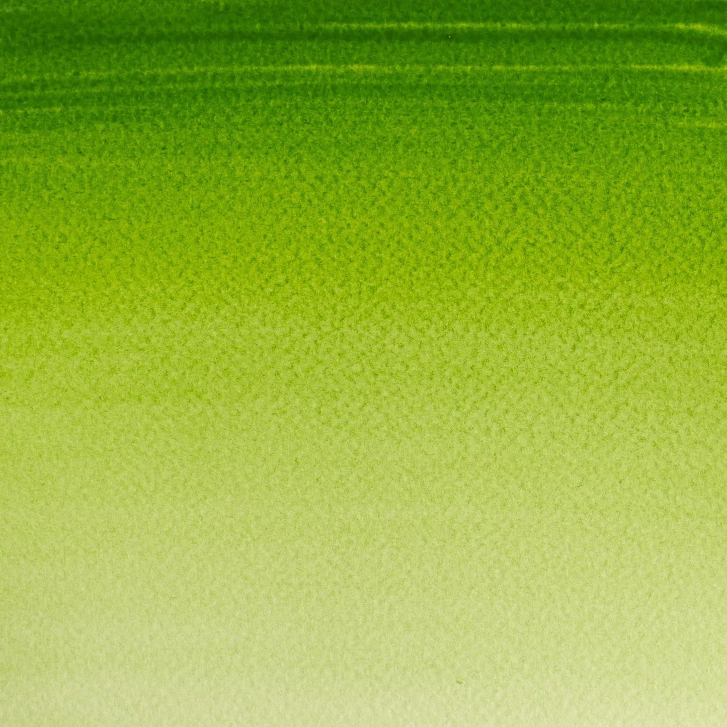 ACUARELA W&N COTMAN 8ML VERDE VEJIGA 599 10420
