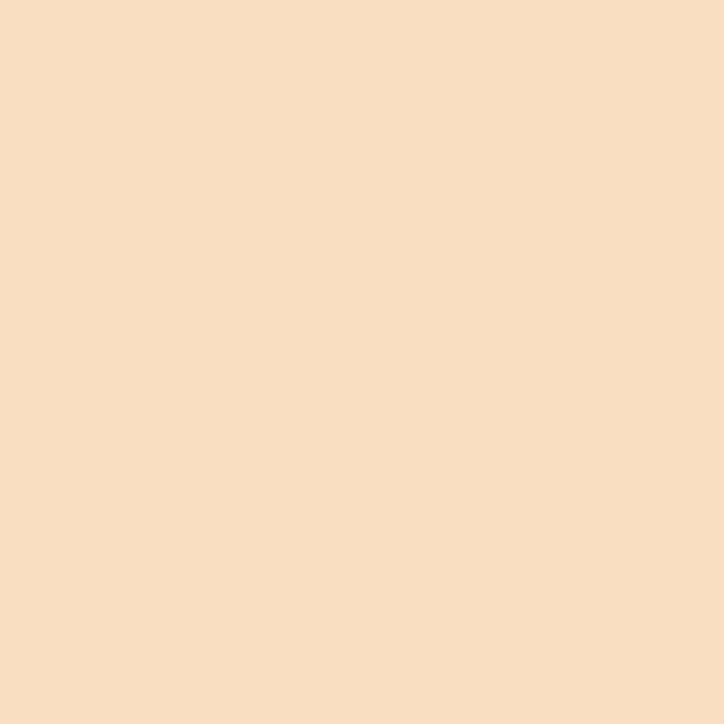 ROTULADOR W&N PROMARKER BLUSH-O729