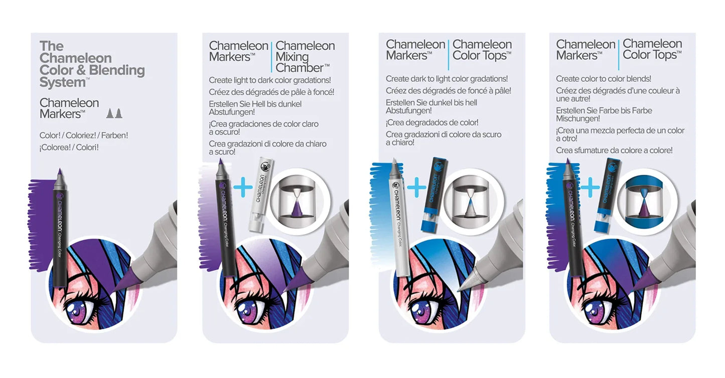 ROTULADORES CHAMELEON DOBLE PUNTA NO.10 ECHCS6610