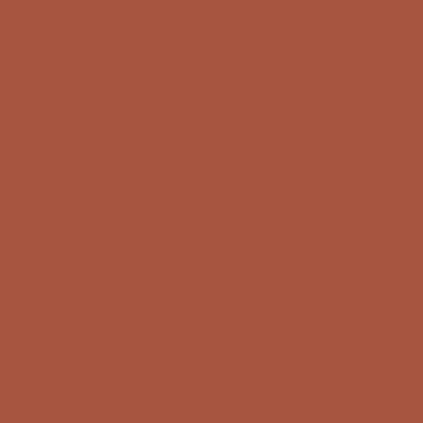 ROTULADOR W&N PROMARKER BURNT UMBER-R646