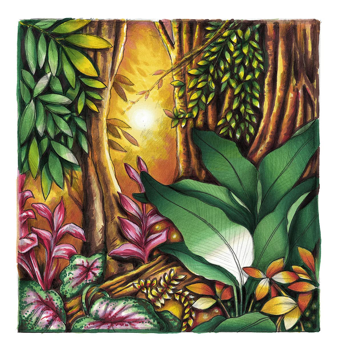ROTULADORES CHAMELEON DOBLE PUNTA NO.07 ECHCS6607