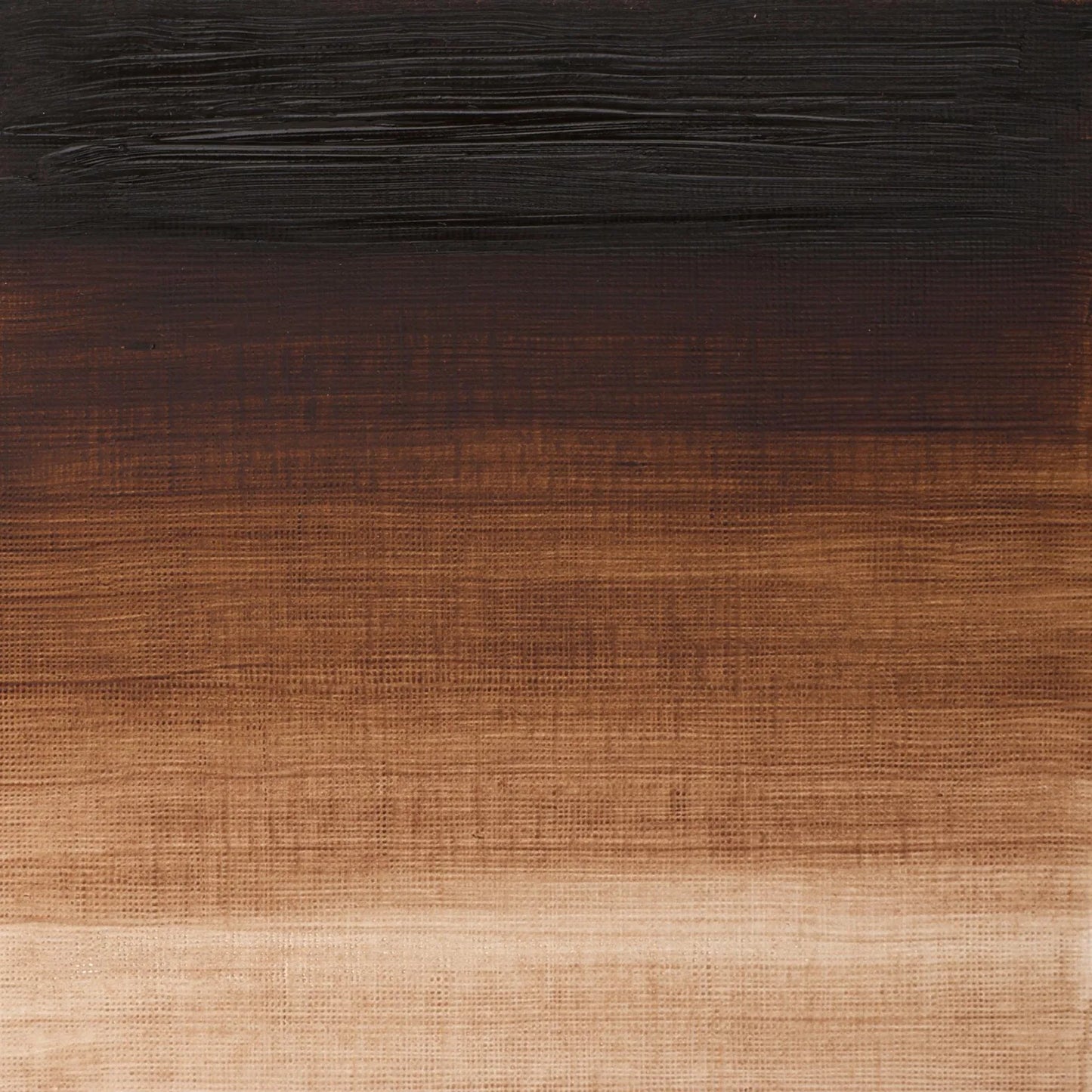 PINTURA AL OLEO W&N ARTISTS 37MLPARDO S-1 NO 676 11165