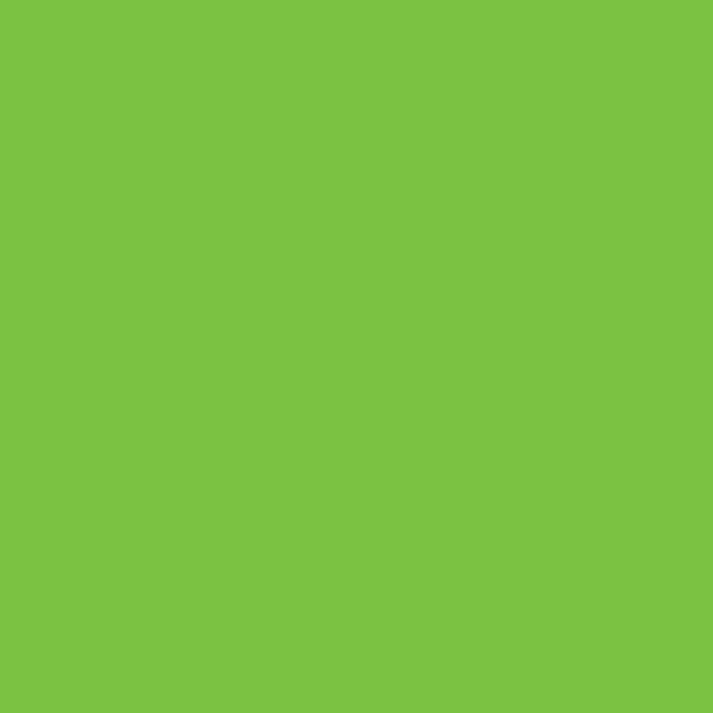 ROTULADOR W&N PROMARKER BRIGHT GREEN-G267