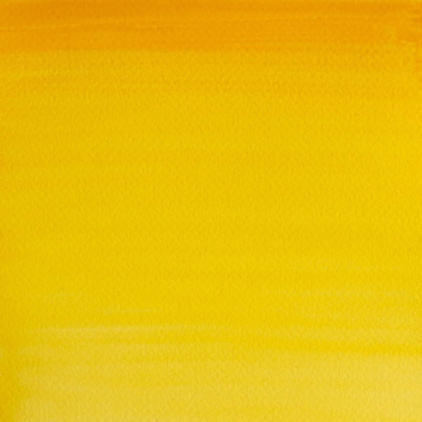 ACUARELA W&N COTMAN 8ML AMARILLO CADMIO 109 10394