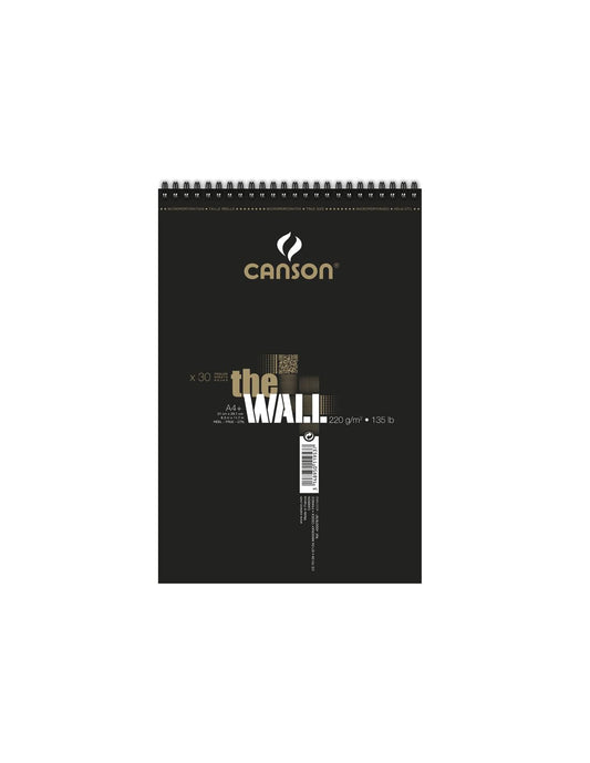 ALBUN CANSON  THE WALL ILUSTRATION GRAFITI A4 21X31.4 220G 30H 63073